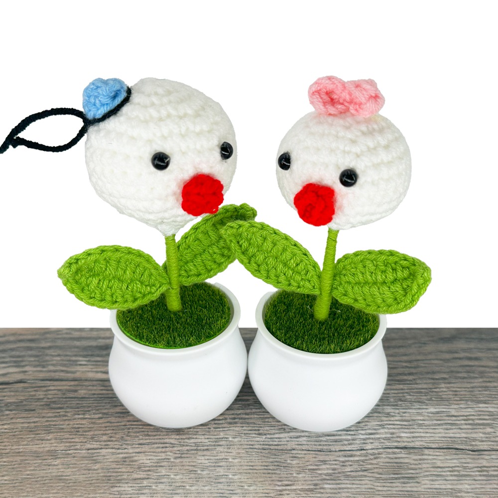 Crochet Flowers with Male and Female Duckling DESIGNS in Pot
