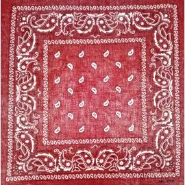 Wholesale Brown Paisley Cotton Bandanas-1