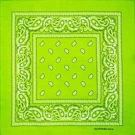 Light Green Paisley Cotton Bandanas-4