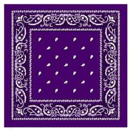 Wholesale Purple Paisley Bandanas-1
