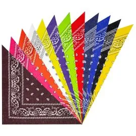 Multicolor Paisley Print Polyester Bandana Set-1