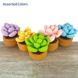 Crochet Succulents in Crochet Flower Pot - Colorful Mix