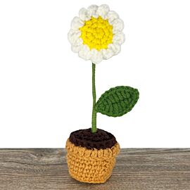 White Crochet Daisy in Crochet Flower Pot, hand knitted flowers