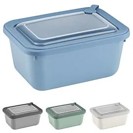 Elegant Rectangular Storage Box | 1750 ML
