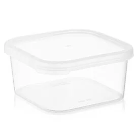 Elegant Square Quick Box | 900 ML