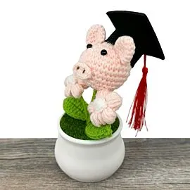 MACETA DE GRADUACIÓN DE CERDO DE FLORES A CROCHET