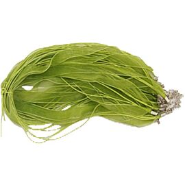 Cinta y cordón verde