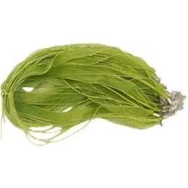 Buy Wholesale Grean Ribbon & Cord-1