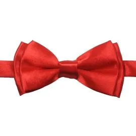 Kid Bowtie Red - Bulk Savings, Wholesale Prices-1