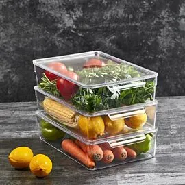 KITCHEN ORGANIZER WITH LID - L SIZE