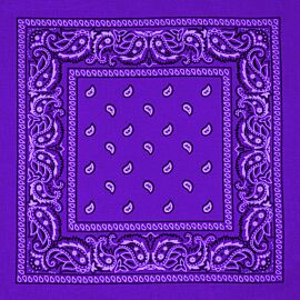 Wholesale Purple Paisley Paisley Print Polyester Bandanas