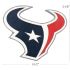 Houston Texans Bull's Head Buckle