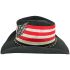 USA Flag Skull Wing Toyo Black Western Cowboy Hat