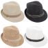 Plain Color Adult Casual Straw Trilby Fedora Hat Set