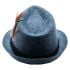 Blue Color Trilby Fedora Hat