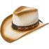 Paper Straw Brown Shade Western Cowboy Hat with Long Horn Bull Laced Band