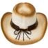 Paper Straw Brown Shade Western Cowboy Hat with Bull Laced Band