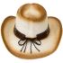 Paper Straw Off-White Shade Western Cowboy Hat with Bull Laced Band