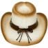 Paper Straw Brown Shade Western Cowboy Hat with Star Laced Edge Band