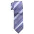 Blue Striped Tie Set