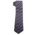 Classic Striped Tie Set
