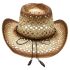 Straw Cowboy Hats with Brown Shaded Breathable Hollow Design