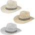 Western Straw Cowboy Hat for Men
