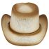 Brown Shade Kid Western Cowboy Hat in Paper Straw