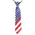 American Flag Kid Necktie