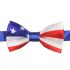 Kid Bowtie American Flag