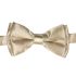 Shining Golden Kids Bowtie