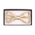 Shining Golden Kids Bowtie