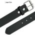 Black Buckle Belts for Adults - Large size