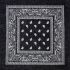 Black Paisley Print Polyester Bandanas