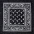 Black Paisley Print Polyester Bandanas