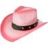 Pink Cowboy Hats with Bull Turquoise Bead Band - Black Shade 