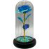 Light-up Roses in Glass Dome - Valentine Gifts for Her | Assorted Colors
