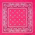 Pink Paisley Cotton Bandanas