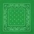 Dark Green Paisley Print Polyester Bandanas