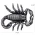Scorpion Buckles Gray Design