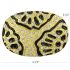 Golden Designer Belt Buckle