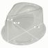 Fedora Hat Protector Clear