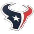 Houston Texans Bull's Head Buckle