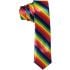 Rainbow Skinny Tie