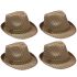 Black Pinstripes Brown Adult Trilby Fedora Hat