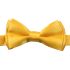 Shining Golden Yellow Kid Bow Tie