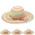 Multicolored Wide Brim Beach Hat