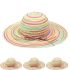 Multicolored Wide Brim Beach Hat