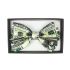 Dollar-Themed Bowtie