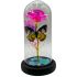 Light-up Roses in Glass Dome - Butterfly Design | Assorted Colors
